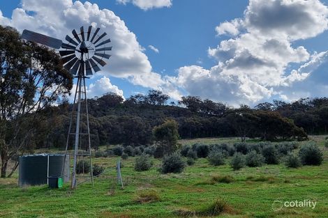 1638 Mount Hope Rd, Coolah, NSW 2843