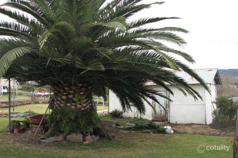 Property photo of 7 Arbutus Street Killarney QLD 4373