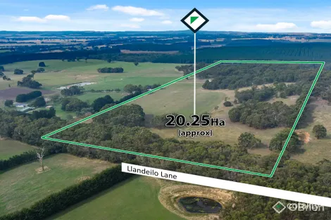 133 Llandeilo Lane, Ballan, VIC 3342