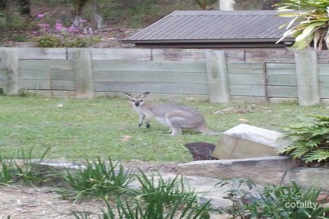 Property photo of 22 Camden Court Helensvale QLD 4212