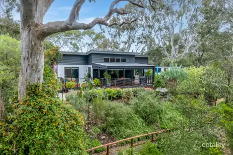 Property photo of 41 Coromandel Drive McCracken SA 5211