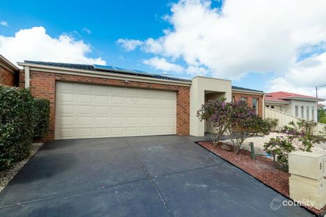 Property photo of 8 Billy Buttons Avenue Cairnlea VIC 3023