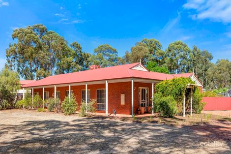 Property photo of 11 Peake Court Ascot VIC 3551