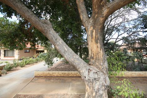 16 Conigrave St, Oaklands Park, SA 5046