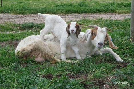 259 Kokoda Rd, Yarroweyah, VIC 3644