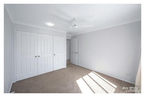 Property photo of 3 Riverwood Grove Norman Gardens QLD 4701