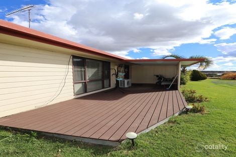 Property photo of 39 Young Street Deepwater NSW 2371