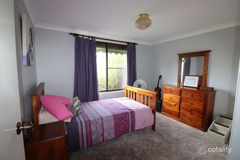 Property photo of 39 Young Street Deepwater NSW 2371