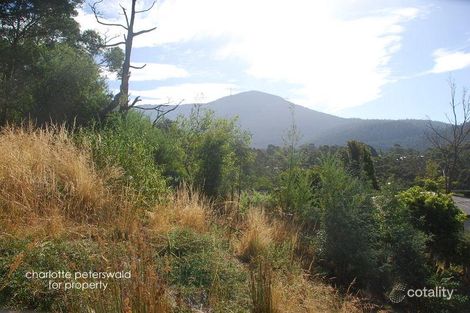 62a Strickland Ave, South Hobart, TAS 7004