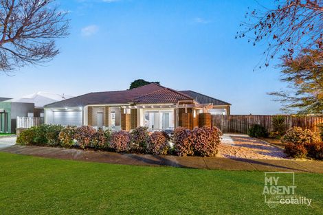 Property photo of 25 Royal Terrace Craigieburn VIC 3064