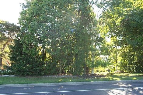 379 Tweed Valley Way, South Murwillumbah, NSW 2484