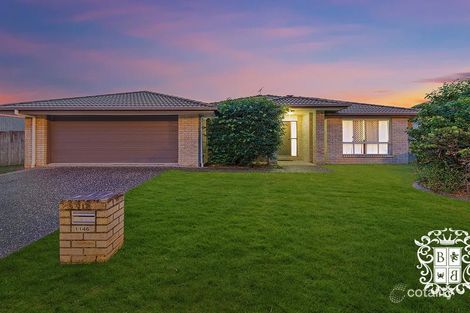 Property photo of 1146 Oakey Flat Road Narangba QLD 4504