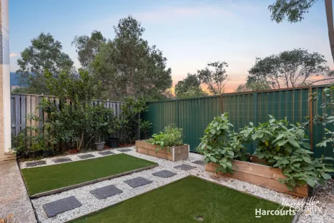 Property photo of 56 Pinehill Street Yarrabilba QLD 4207
