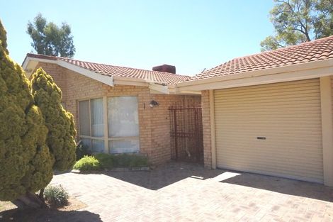 Property photo of 12A Windsor Court Balcatta WA 6021