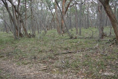 Property photo of 11E Guys Road Raglan VIC 3373