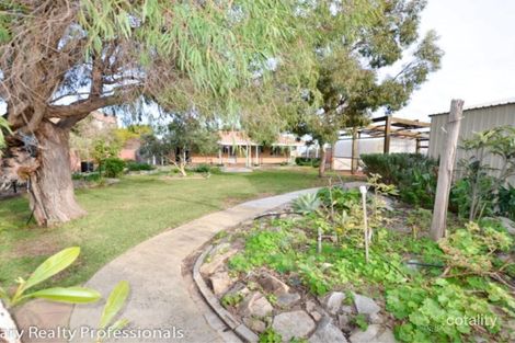 Property photo of 3 Baloo Crescent Falcon WA 6210