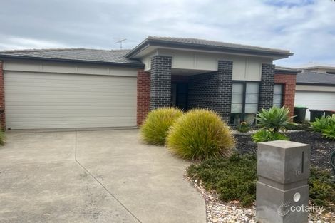 16 Sunnymead Ave, Torquay, VIC 3228