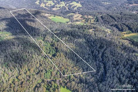 7895 Armidale Rd, Dundurrabin, NSW 2453