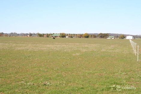 7l Coakers Rd, Terramungamine, NSW 2830