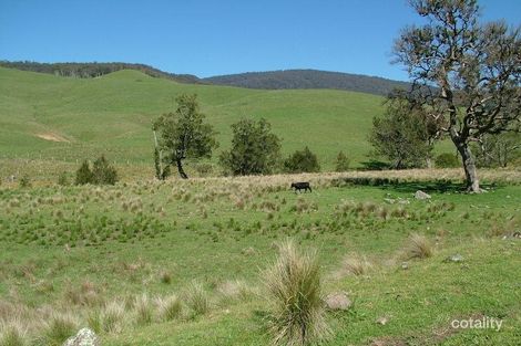 Property photo of 800 Moppy Creek Road Barrington Tops NSW 2422