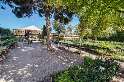 Property photo of 103 Main Road Monbulk VIC 3793