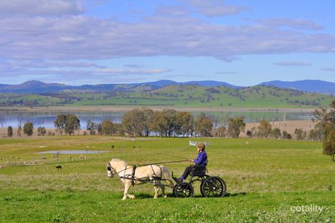 39 Bucklen Rest, Table Top, NSW 2640