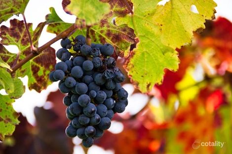 10 Thompson Rd, Cookernup, WA 6220