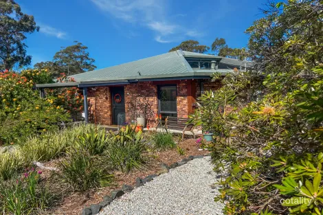 Property photo of 20 Nicks Close St Helens TAS 7216