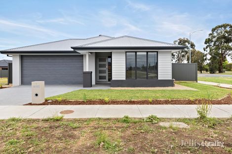2 Alto Gra, Winter Valley, VIC 3358