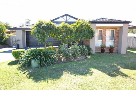 Property photo of 29 Rhonda Place Oxley QLD 4075