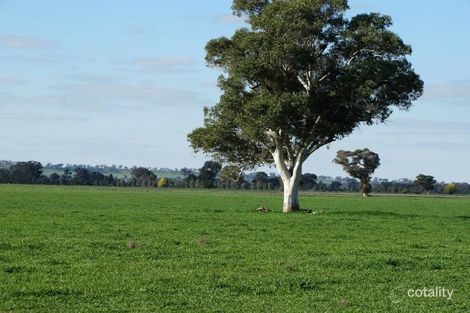 2415 Walbundrie Rd, Walla Walla, NSW 2659