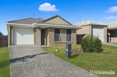 Property photo of 35 Macadamia Street Mango Hill QLD 4509