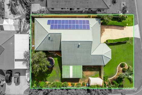 Property photo of 13 Goodenia Court Birkdale QLD 4159