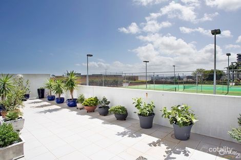 Property photo of 403/80 Ebley Street Bondi Junction NSW 2022