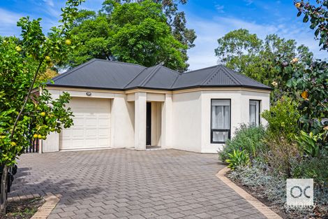 Property photo of 13A Clarence Avenue Klemzig SA 5087