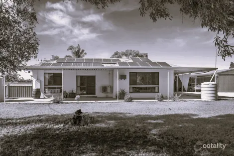 Property photo of 62 Edmondson Road Loxton SA 5333