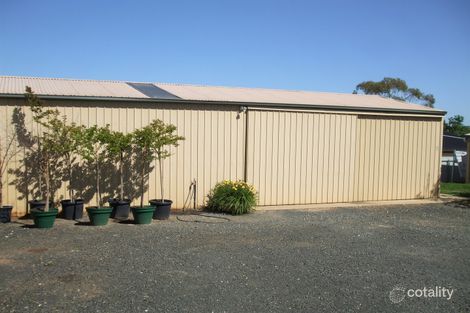 Property photo of 100 South Avenue Bordertown SA 5268