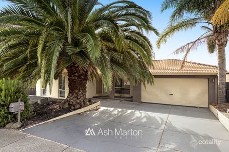 Property photo of 74 Orama Avenue Carrum Downs VIC 3201