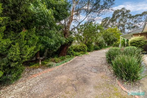 Property photo of 794 Strathfieldsaye Road Strathfieldsaye VIC 3551