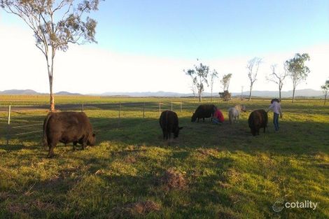 30 Gunyarra Rd, Gunyarra, QLD 4800