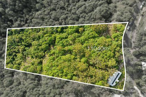 Property photo of 196 Ocean Vista Drive Maroochy River QLD 4561