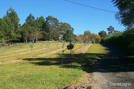 Property photo of 50-52 Benowa Street Tamborine Mountain QLD 4272