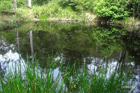 448 Long Gully Rd, Drake, NSW 2469