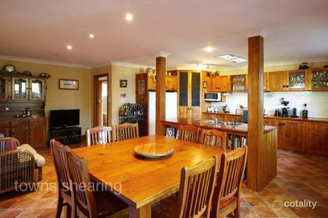 Property photo of 19 New World Avenue Trevallyn TAS 7250