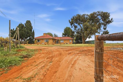 Property photo of 17404 Sturt Highway Barmera SA 5345