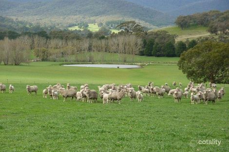 1348 Murrindindi Rd, Murrindindi, VIC 3717