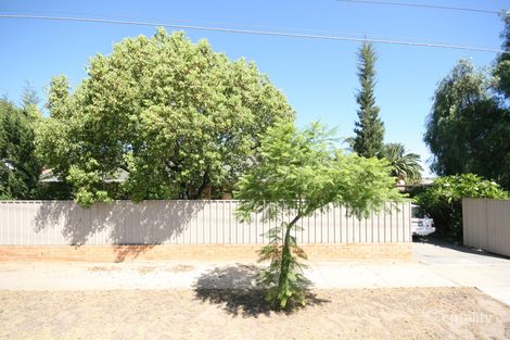 19 Mooringe Ave, Plympton, SA 5038