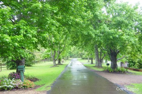 Property photo of 408-410 Western Avenue Montville QLD 4560