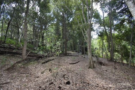 1 Junction Mountain Rd, Isis River, QLD 4660