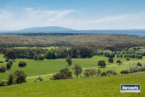 474 Maxfields Rd, Callignee North, VIC 3844